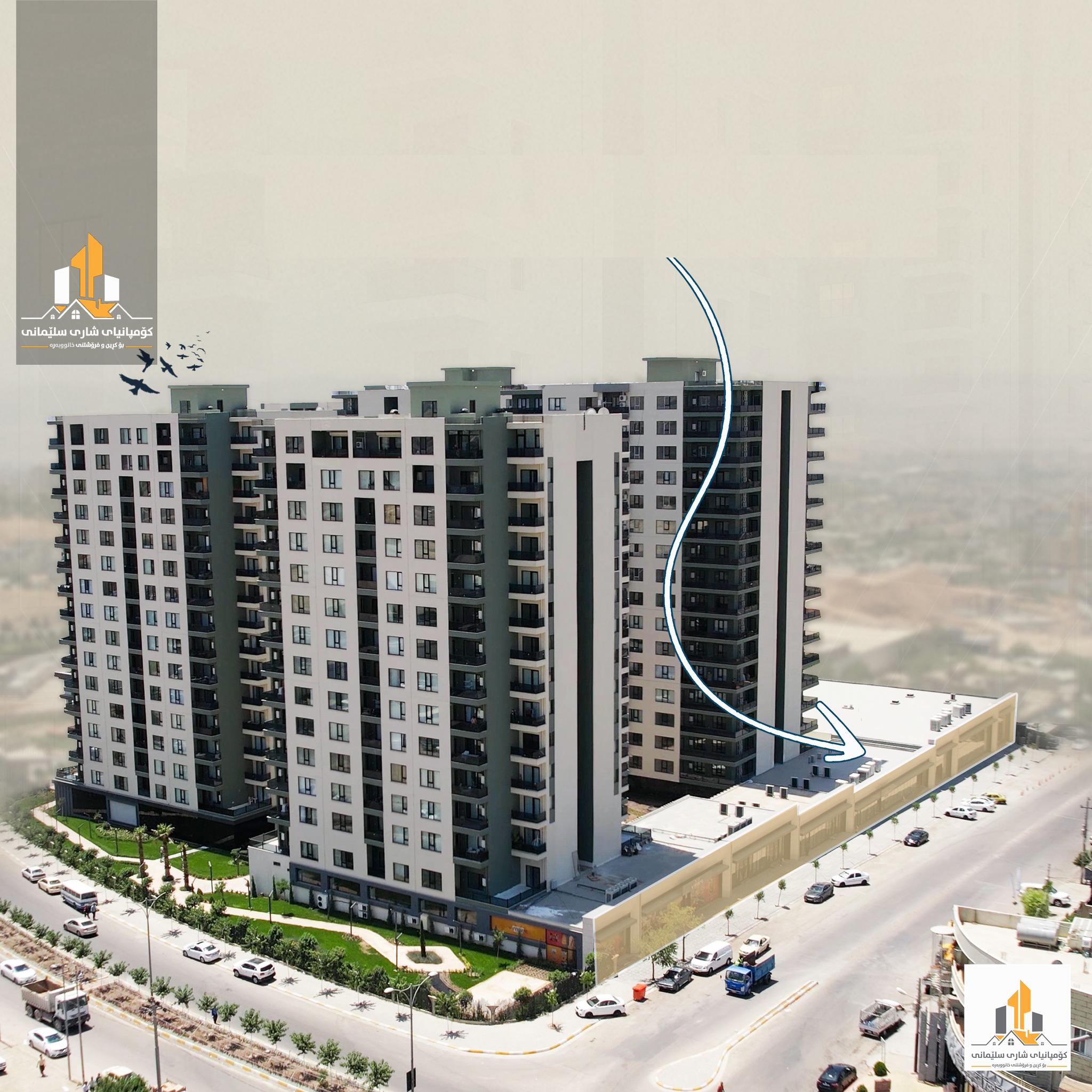 shary slemany company 